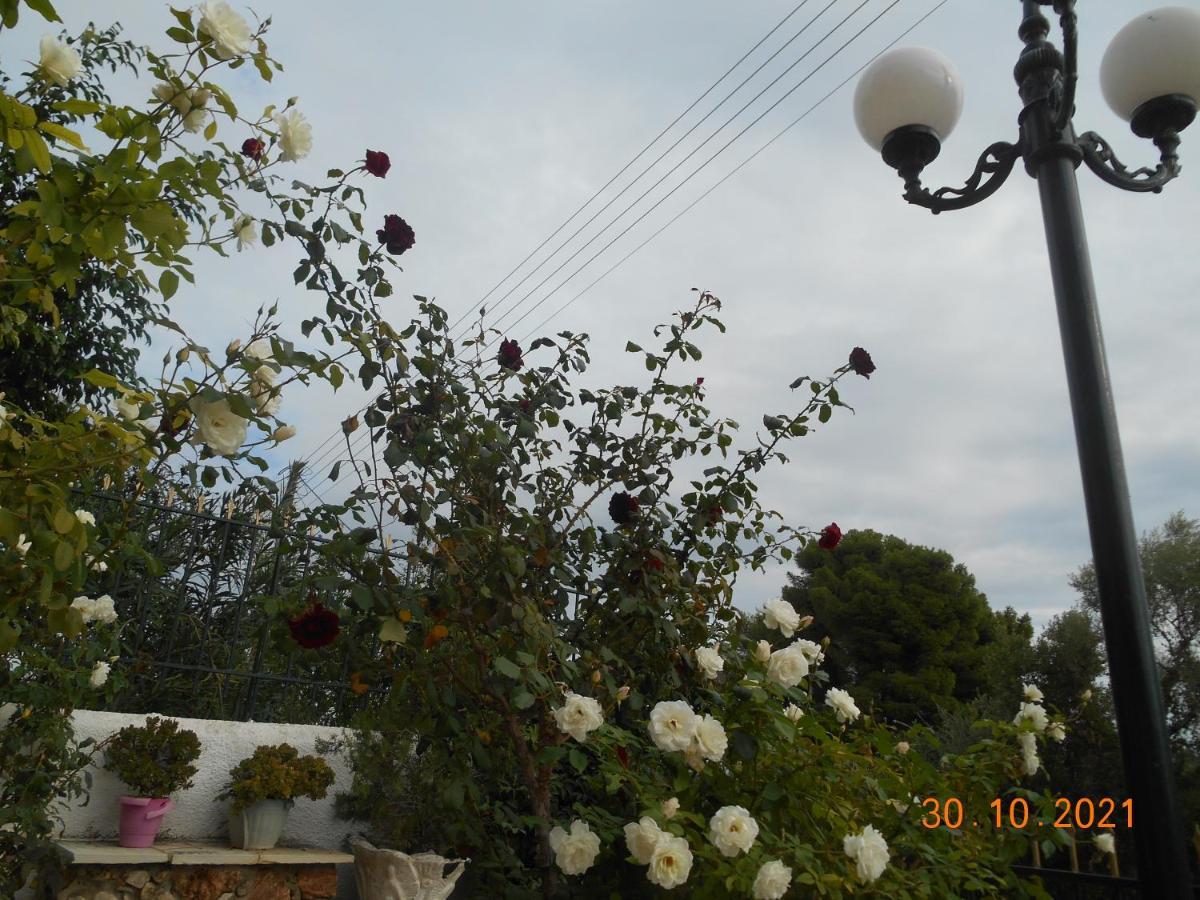 Melios Rooms Petalidi Exterior photo
